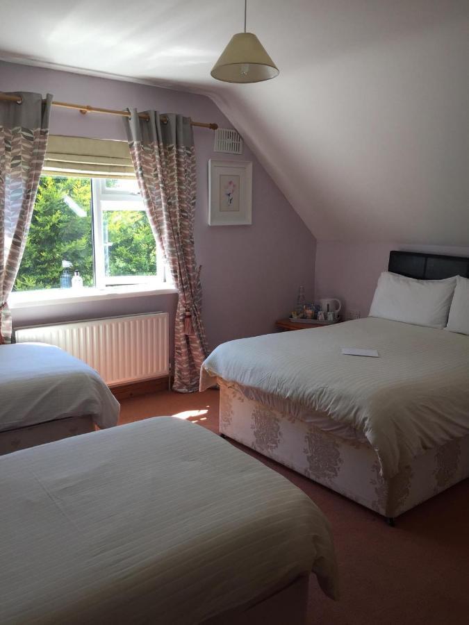 Padua Guest Accommodation Rosslare Harbour Extérieur photo