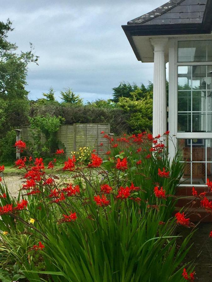 Padua Guest Accommodation Rosslare Harbour Extérieur photo
